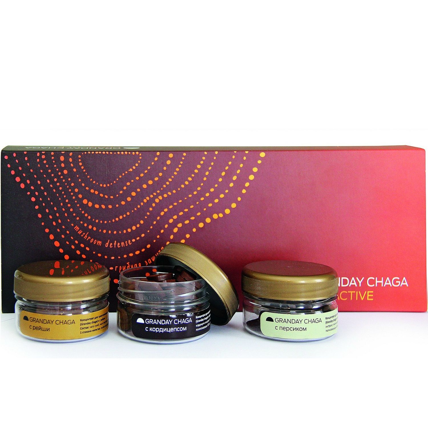 Granday Chaga Proactive Концентрат для приготовления напитка на основе чаги Арт Лайф, 3 х 45 шт