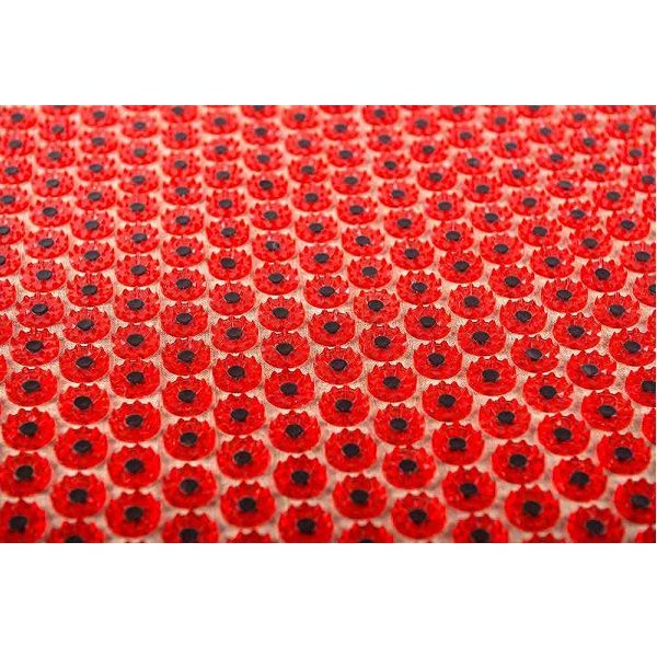 Тибетский магнитный аппликатор Кузнецова на мягкой подложке, 41х60 см