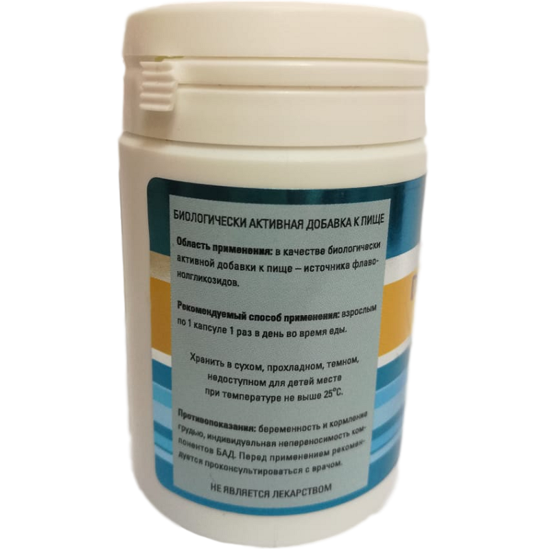 Гинкго Билоба Плюс, Ginkgo Biloba Plus, Формула для эффективной работы мозга и сердца, Витамакс, 60 капсул