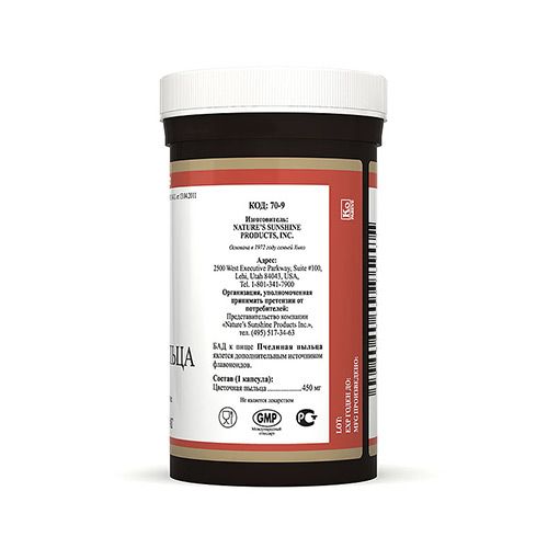 Пчелиная Пыльца, Выносливость и иммунная поддержка, NSP, 450 мг, 100 капсул