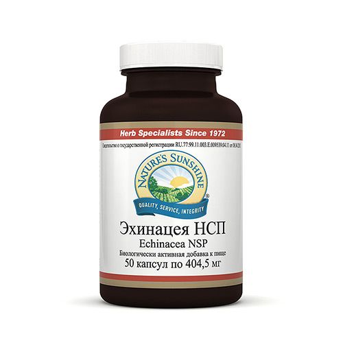 Эхинацея, Стимулирует иммунную систему, NSP, 404.5 мг, 50 капсул