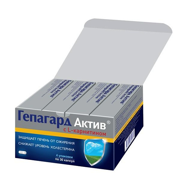 Гепагард Актив с L-карнитином для защиты печени и снижения уровня холестерина 360 мг, 30 шт х 4 мини-бокс