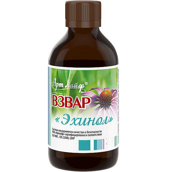 Взвар «Эхинол», Активизация иммунитета и защитных сил организма, Арт Лайф, 250 мл