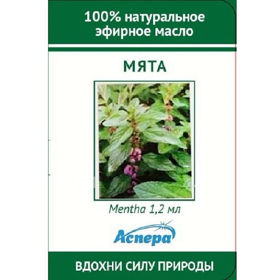 Эфирное масло мята перечная Аспера 1,2 мл, 8 шт
