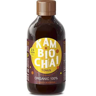 KamBioChai Камбиочай Tonus на основе чайного гриба Kombucha (комбуча) с имбирем и корицей, 250 мл